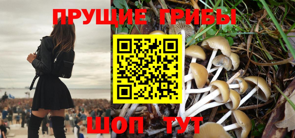 Галлюциногенные грибы Cubensis Кудымкар