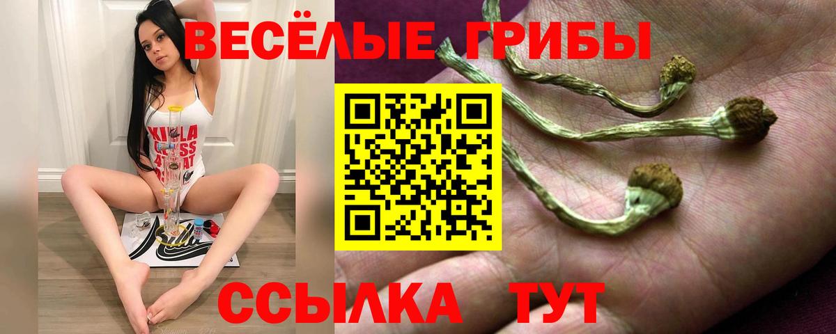 Кудымкар  Галлюциногенные грибы Psilocybe  Вход с VPN 